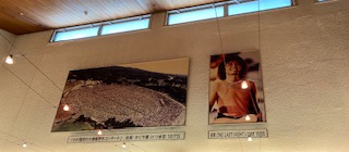 IMG_6948.jpeg