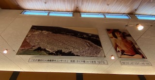 IMG_6945.jpg